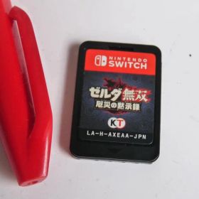 NIntendo Switch ゼルダ無双 厄災の黙示録 現状品