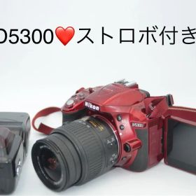 Nikon D5300 レッド ストロボ付き