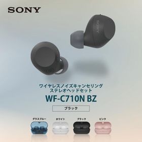 ワイヤレスイヤホン sony ソニー 完全 ブラック ノイズキャンセリング WF-C710N BZ