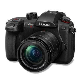 【10年間保証付き】[パナソニック] LUMIX DC-GH5M2M 標準ズームレンズキット