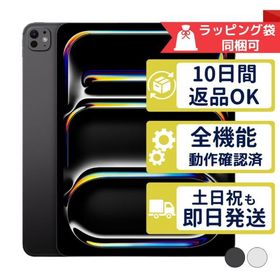 iPad Pro 13インチ M5 256GB APPLE Wi-Fiモデル 中古 Aランク 商品補償100日間 本体