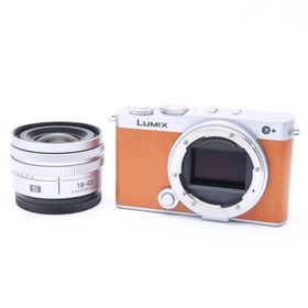 《並品》Panasonic LUMIX S9 広角ズームレンズキット DC-S9N-D