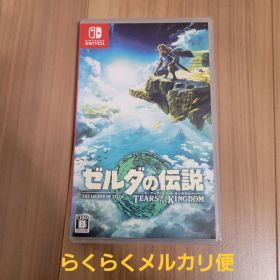 ゼルダの伝説 ティアーズ オブ ザ キングダム Switch スイッチ