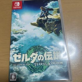 ゼルダの伝説 ティアーズ オブ ザ キングダム