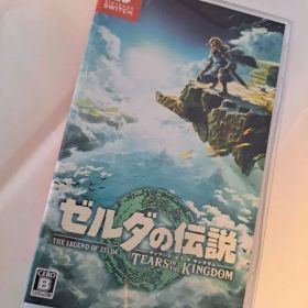 ゼルダの伝説 ティアーズ オブ ザ キングダム