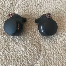 sony ソニー WF-1000XM4 ワイヤレスイヤホン 左右の本体