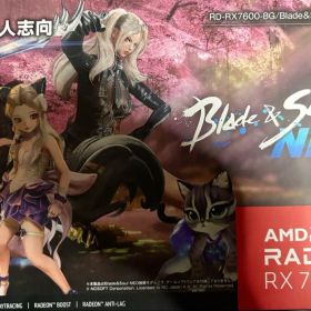 AMD Radeon RX 7600 8GB Blade & Soul NEO