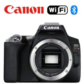 キヤノン Canon EOS kiss X10 ボディ デジタル 一眼レフ カメラ 中古