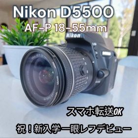 ♥美品 大人気 Nikon D5500 一眼レフ デビューセット 入学式