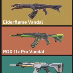 アジア太平洋⚡エルダーフレイム ヴァンダル⚡rgx 11z Pro ヴァンダル