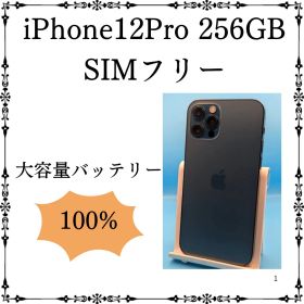 iPhone12Pro 256GB