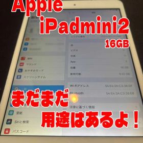 ipadmini2 まだまだ使えるよ！