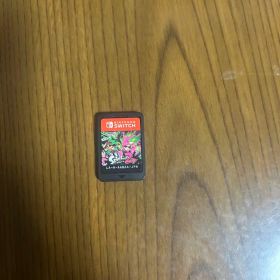 スプラトゥーン2 Nintendo Switch パッケージ版