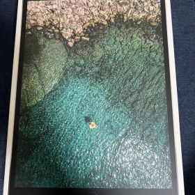 iPad Pro 10.5インチ 512GB Wi-Fi+セルラー SIMフリー