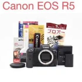 付属品付き デジタル一眼ミラーレスカメラ Canon EOS R5