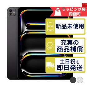 iPad Pro 13インチ M5 512GB APPLE Wi-Fiモデル 新品・未使用 本体