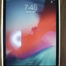 iPad mini 2 64GB スペースグレー 箱 付属品全てあり