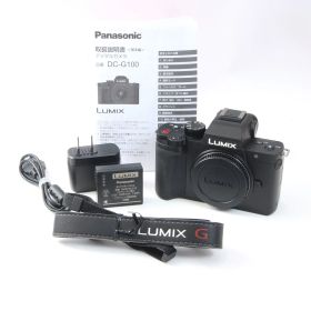 Panasonic パナソニック LUMIX DC-G100 ミラーレスカメラ 【シャッター数270回】