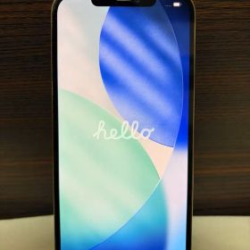 [価格相談可]iPhone 12 Pro Max ゴールド 512GB 本体