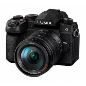 デジタルカメラ パナソニック LUMIX Gシリーズ コンパクト 軽量ボディ 交換レンズシステム 防水 防塵 高精密 高精細画質 高速AF CMOSセンサー 高倍率ズームレンズセット デジタル一眼カメラ/レンズキット DC-G99M2H ブラック