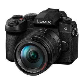 【中古】パナソニック (Panasonic) ミラーレス一眼カメラ LIMIX 高倍率ズームレンズキット DC-G99M2H