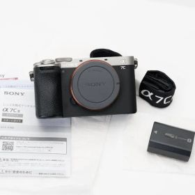 完動品 防湿庫保管 SONY α7CⅡ ILCE-7CM2 α7Cii α7C2