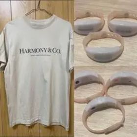 清春ハーモニーズTシャツM &ライトどれか１つ+チラシ3枚