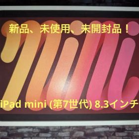 〈新品〉iPad mini Wi-Fi 256GB / スターライト