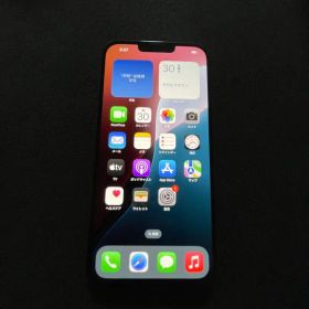 iPhone13 PRO MAX 120GB simフリー 美品 完動品