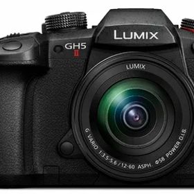 【中古】（新古品） パナソニック(Panasonic) ミラーレス一眼カメラ ルミックス GH5M2 レンズキット 標準ズームレンズ付属 ブラック DC-GH5M2M