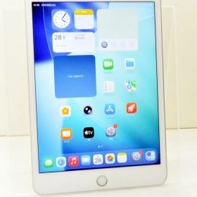 白ロム SIMフリー docomo SIMロック解除済 Apple iPad mini5 Wi-Fi+Cellular 64GB iPadOS26.0.1 シルバー MUX62J/A 初期化済 【m028329】【中古】【K20251028】