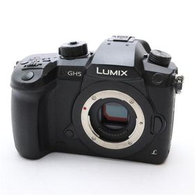 《並品》Panasonic LUMIX DC-GH5 ボディ