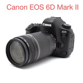 キヤノン(Canon)のCanon EOS 6D Mark II / Canon EF 75-300mm(デジタル一眼)