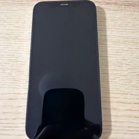 Apple iPhone 12 Pro 本体