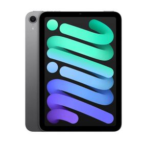 【新品 箱不良・シュリンク破れ品】iPad mini 8.3インチ Wi-Fi 256GB 2024年秋モデル MXNA3J/A スペースグレイ