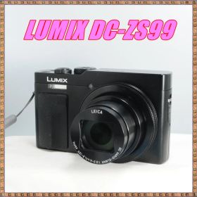 ★極美品★LUMIX ルミックス DC-ZS99 ブラック 元箱付き TZ99