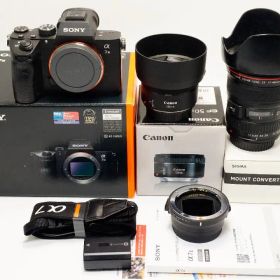 ソニー α７ Ⅲ+ MC-11 + canon L 17-40㎜ +EF50㎜