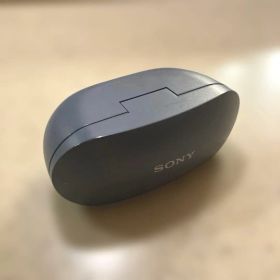 ソニーワイヤレスノイズキャンセリングイヤホン WF-SP800N : ブルー