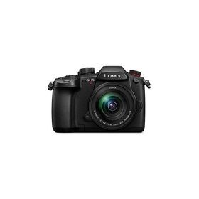 Panasonic パナソニック DC-GH5M2M LUMIX GH5II 標準ズームレンズキット デジタル一眼カメラ ルミックス