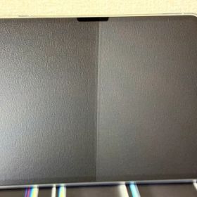 ほぼ新品 iPad Pro M5 13インチ 256GB Wi-Fiモデル