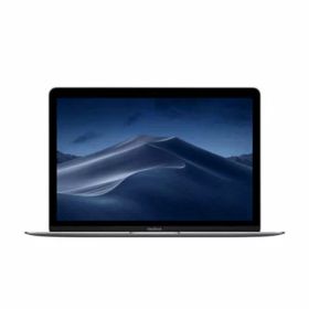 中古パソコン MacBook 12インチ MNYF2J/A Mid 2017 スペースグレイ【Core m3(1.2GHz)/16GB/256GB SSD】 Apple 当社3ヶ月間保証 イオシス