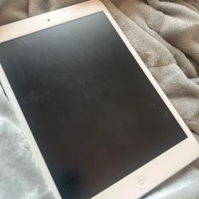 iPad mini Wi-Fi+Cellular 16GB