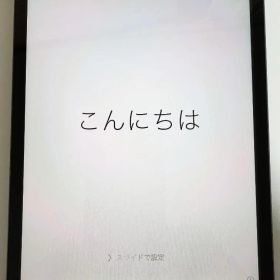 Apple iPad mini MD528J/A Wi-Fiモデル