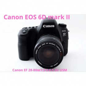 キヤノン(Canon)のキャノン Canon EOS 6D Mark II＋Canon EF 28-80(デジタル一眼)