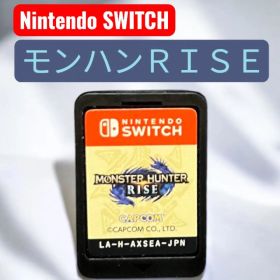 Nintendo Switch モンスターハンターライズ ソフトのみ 動作確認済