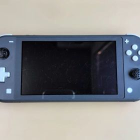任天堂スイッチライト Nintendo Switch Lite グレー