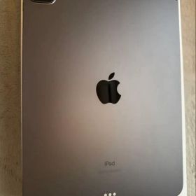 iPad Pro 11インチ Wi-Fi 256GB 第2世代 ペンシル付