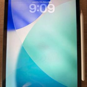 iPad Pro 11インチ (第3世代) Cellular 256GB