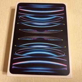 iPad Pro 11インチ 第4世代 256GB セルラーモデル シルバー