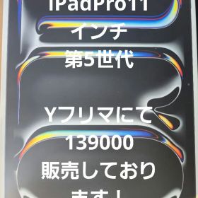 iPad Pro 11 第5世代 256GB